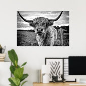 Poster Vache noire et blanche des Highlands (Bureau à domicile)
