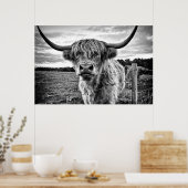 Poster Vache noire et blanche des Highlands (Cuisine)