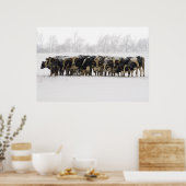 Poster Vaches (Cuisine)