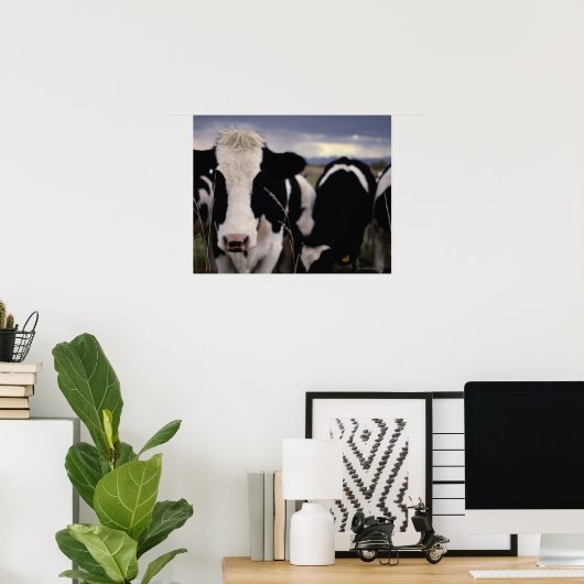 Poster Vaches 3 (Bureau à domicile)