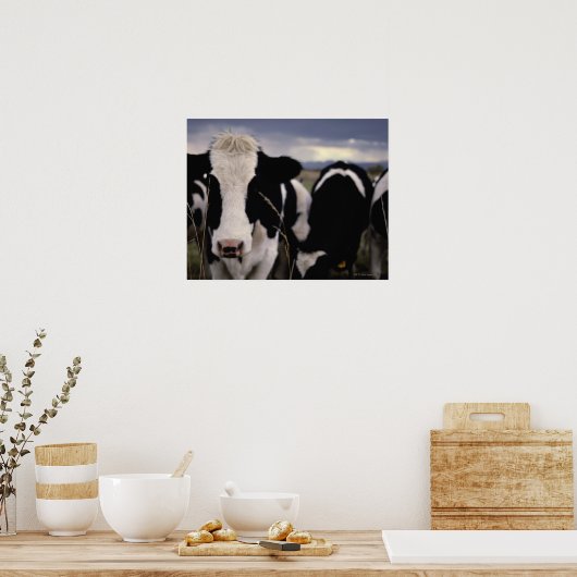 Poster Vaches 3 (Cuisine)