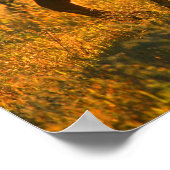 Poster Vaches au pâturage 2 (Coin)