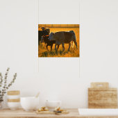 Poster Vaches au pâturage 2 (Cuisine)