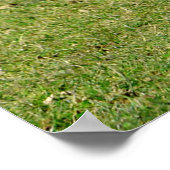 Poster Vaches dans le champ (Coin)