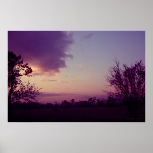 Poster Vaches dans le champ (Devant)