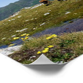 Poster Vaches Dans Les Montagnes (Coin)
