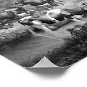 Poster Vaches dans les pâturages (Coin)