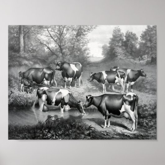 Poster Vaches dans les pâturages (Devant)