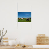 Poster Vaches dans un champ (Cuisine)