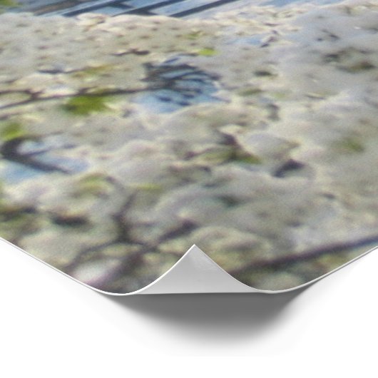 Poster Vaches dans un champ en hiver (Coin)
