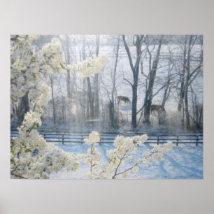 Poster Vaches dans un champ en hiver