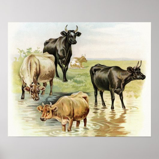 Poster Vaches de la ferme d'art vintage (Devant)