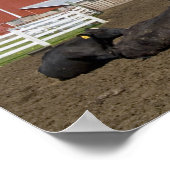 Poster Vaches devant une grange rouge et silo sur une fer (Coin)