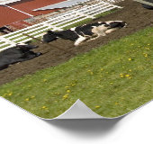 Poster Vaches devant une grange rouge et un silo dans une (Coin)