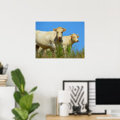 Poster Vaches en France animal (Bureau à domicile)