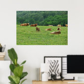 Poster Vaches Highland (Bureau à domicile)