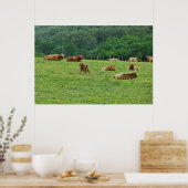 Poster Vaches Highland (Cuisine)
