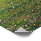 Poster Vaches joyeuses sur la ferme en Suisse (Coin)