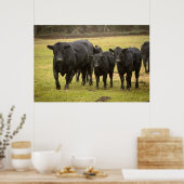 Poster Vaches sous la pluie (Cuisine)