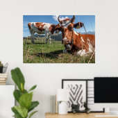 Poster Vaches suisses (Bureau à domicile)