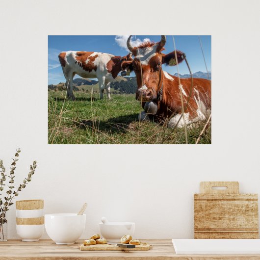 Poster Vaches suisses (Cuisine)