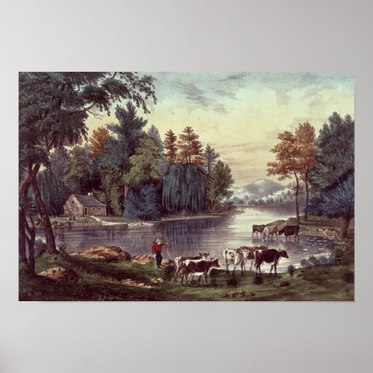 Poster Vaches sur la rive d'un lac (Devant)
