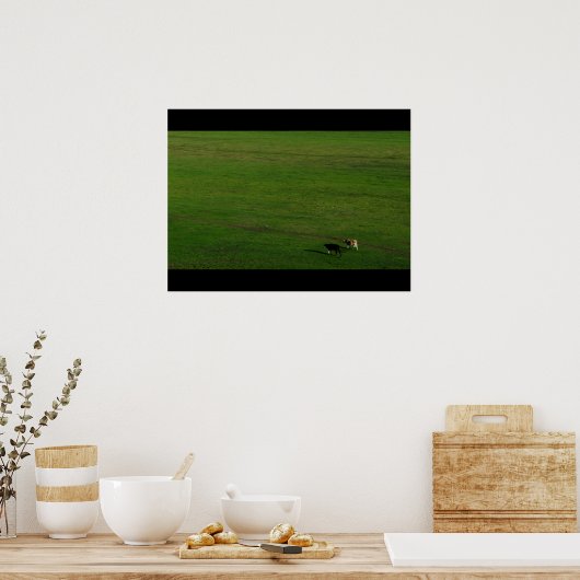 Poster Vaches sur un pâturage panoramique (Cuisine)