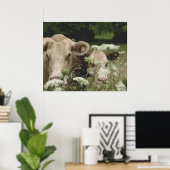 Poster Vaches suspectes (Bureau à domicile)