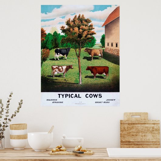 Poster Vaches typiques (Cuisine)