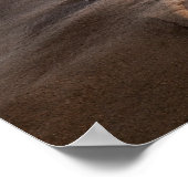 Poster Vague de rupture sur la plage, Californie (Coin)