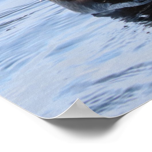 Poster Vague Louter de mer (Coin)