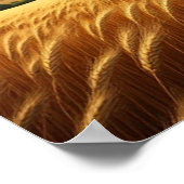 Poster Vagues dorées sous un ciel d'été (Coin)