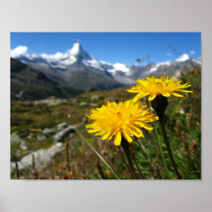 Poster Valais Alpes suisses