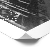 Poster Valdez, Alaska Birdseye 1905 (Coin)