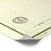 Poster Valdivia (Coin)