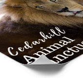 Poster Valentino (Coin)