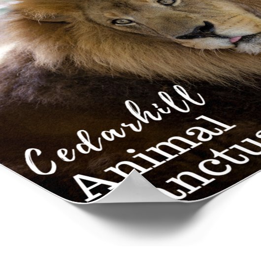 Poster Valentino (Coin)