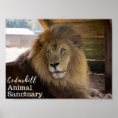 Poster Valentino (Devant)