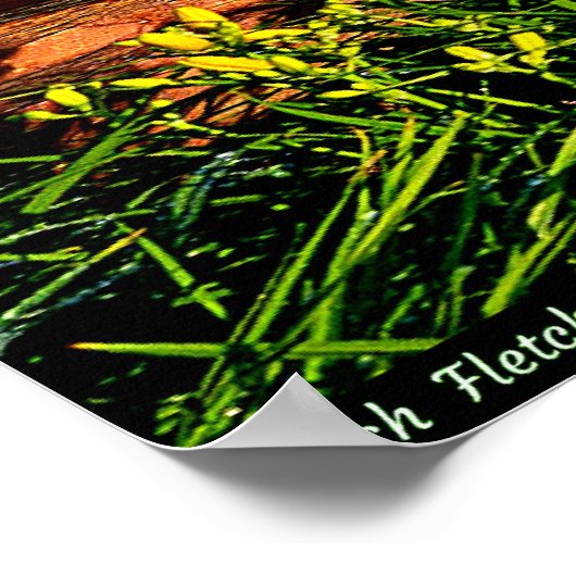 Poster Valeur (Coin)