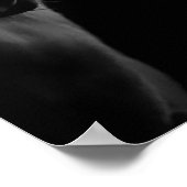 Poster Valeurs fondamentales Cheval blanc Art encadré (Coin)