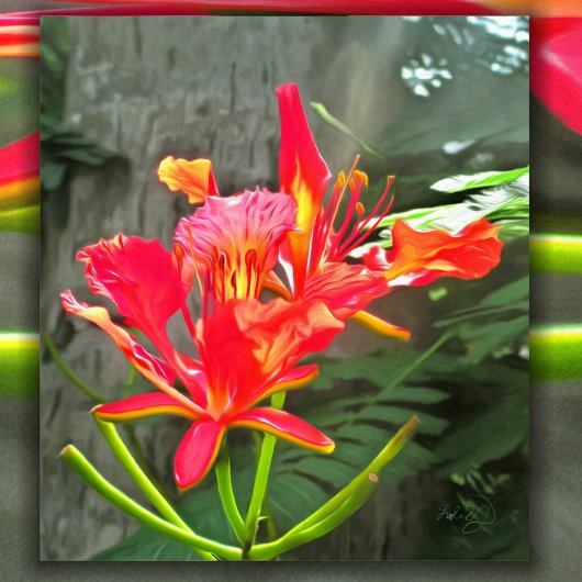 Poster Vallarta Flaming Beauty 1583 Art Imprimer