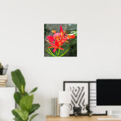 Poster Vallarta Flaming Beauty Tropical Floral 1583 Art (Bureau à domicile)