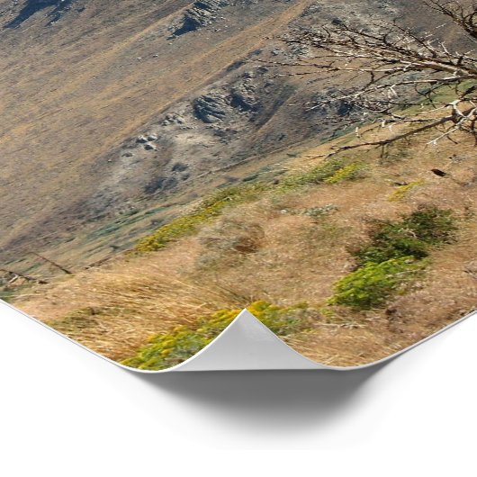 Poster Vallée (Coin)