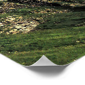 Poster Vallée de Grindelwald (Coin)