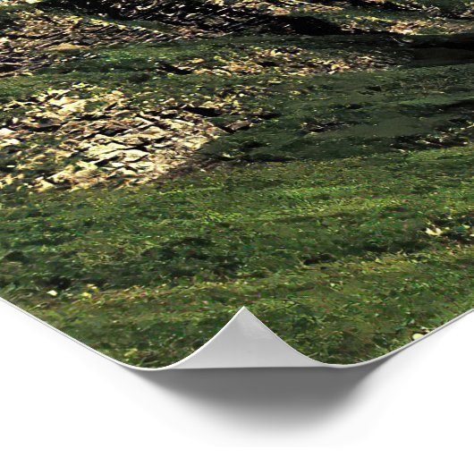 Poster Vallée de Grindelwald (Coin)