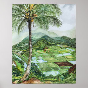 Poster Vallée de Hanalei 16x20M