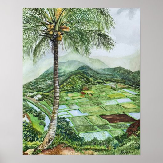 Poster Vallée de Hanalei 16x20M (Devant)