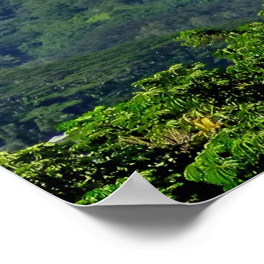 Poster Vallée de Manoa (Coin)