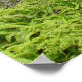 Poster Vallée de Manoa à Waikiki (Coin)