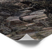 Poster Vallée de Mountain View (Coin)